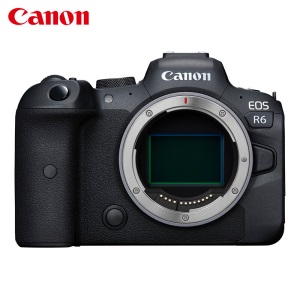 佳能（Canon）EOS R6 (24-105STM镜头) 全画幅数码 微单相机/套机 4K视频