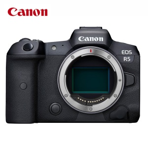 佳能（Canon）EOS R6 (24-105STM镜头) 全画幅数码 微单相机/套机 4K视频