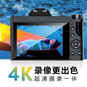 松典DC201 数码照相机单反卡片相机微单小型傻瓜入门级学生家用高清  32G【送4重礼】
