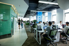 软件开发 系统软件、应用软件、网站开发等 小程序开发、商城开发