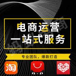 定制和外包软件开发、推广